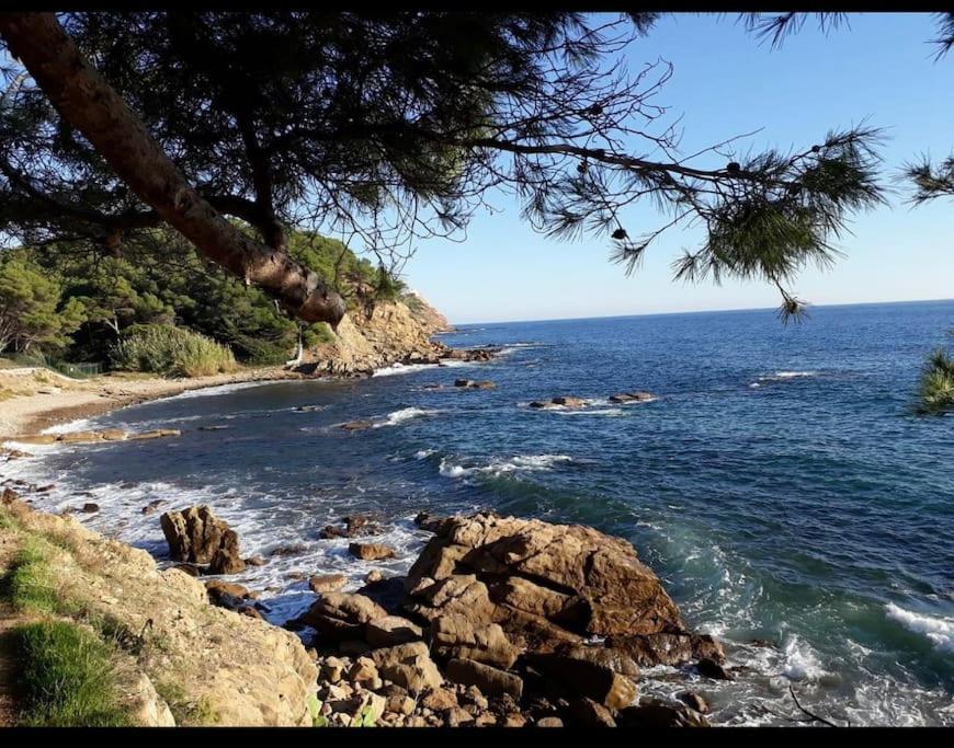 Superbe Appartement Neuf Aucalme Saint-Mandrier-sur-Mer Esterno foto
